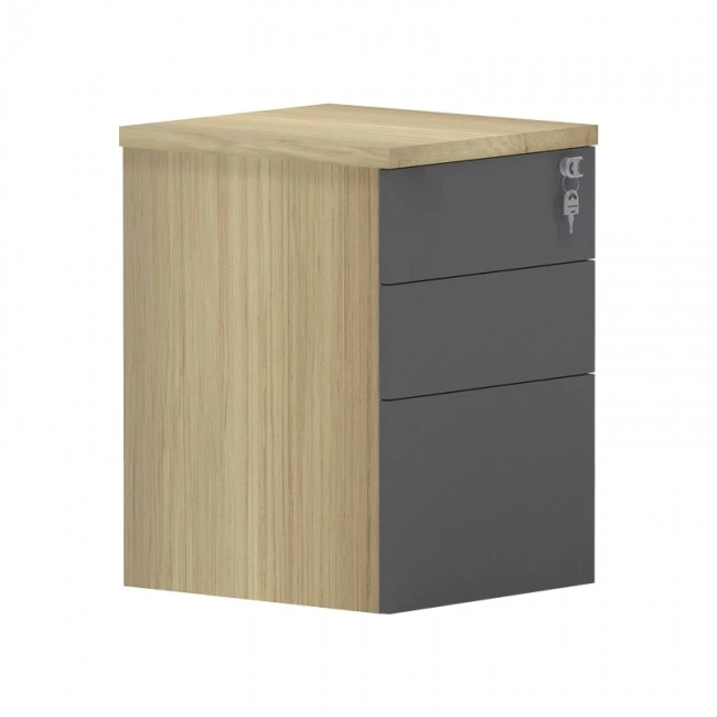 Professional chest of 3 drawers Lotus pakoworld in natural-anthracite color 40x44x61cm
