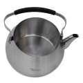 Melina Homeplus steel tea pot in silver color