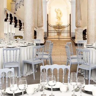 ΝΑΠΟΛΕΩΝ SILVER GREY ΚΑΡΕΚΛΑ ΠΟΛ/ΝΙΟΥ - 20.0015