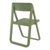 ΝΤΡΙΜ OLIVE GREEN(Σ4)ΠΤΥΣ/ΝΗ ΚΑΡΕΚΛΑ ΠΟΛ/ΝΙΟΥ - 20.0046
