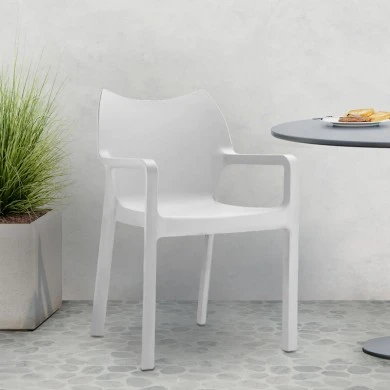 ΝΤΙΒΑ WHITE ΠΟΛΥΘΡΟΝΑ ΠΟΛ/ΝΙΟΥ - 20.0080