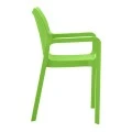 DIVA TROPICAL GREEN(Σ22)ΠΟΛΥΘΡΟΝΑ ΠΟΛ/ΝΙΟΥ