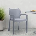 DIVA SILVER GREY ΠΟΛΥΘΡΟΝΑ ΠΟΛ/ΝΙΟΥ