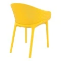 ΣΚΑΙ YELLOW ΠΟΛΥΘΡΟΝΑ ΠΟΛ/ΝΙΟΥ - 20.0267