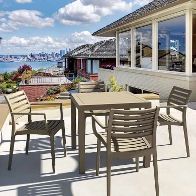 ΑΡΤΕΜΙΣ DOVE GREY ΠΟΛΥΘΡΟΝΑ ΠΟΛ/ΝΙΟΥ - 20.0330