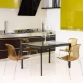 ΑΛΕΓΚΡΑ AMBER TRANSP.(Σ4)ΚΑΡΕΚΛΑ - 32.0064