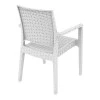 ΙΜΠΙΖΑ WHITE ΠΟΛΥΘΡΟΝΑ ΠΟΛ/ΝΙΟΥ - 53.0012