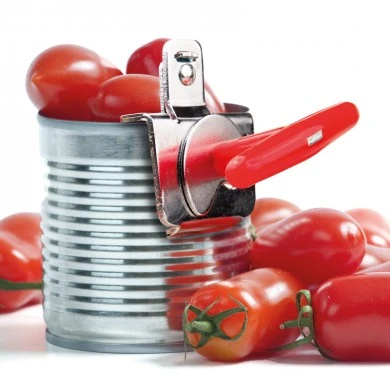 Can opener professional Rigamonti Art.6.99