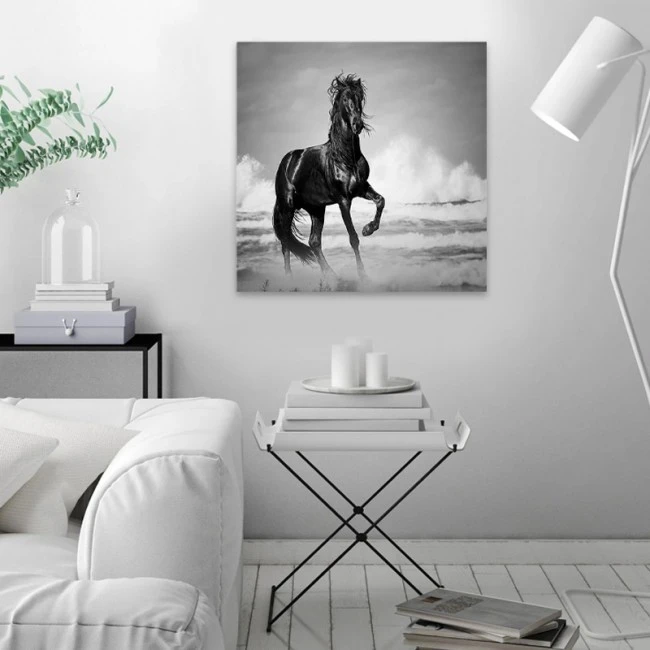 "Black Horse" Megapap painting on canvas digital printing 60x60x3cm.