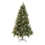 ΔΕΝΔΡΟ CALIFORNIA SPRUCE 150EK