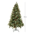 ΔΕΝΔΡΟ CALIFORNIA SPRUCE 150EK