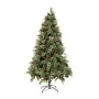 CHRISTMAS TREE CALIFORNIA SPRUCE 210CM