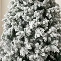 XMAS TREE FLOCKED SUGAR PINE 210CM