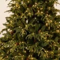 CHRISTMAS TREE   PRE LIT FRANKLIN FIR   210CM WITH 1500 WARM WHITE LED AND MULTICLOLOR