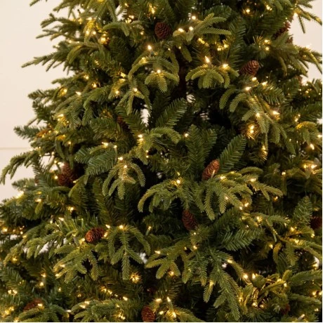 CHRISTMAS TREE   PRE LIT FRANKLIN FIR   210CM WITH 1500 WARM WHITE LED AND MULTICLOLOR