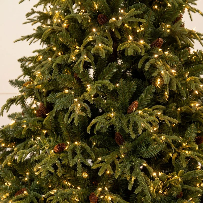 CHRISTMAS TREE   PRE LIT FRANKLIN FIR   210CM WITH 1500 WARM WHITE LED AND MULTICLOLOR