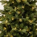 CHRISTMAS TREE PRE-LIT NOBLE FIR 180CM WITH 250 WARM WHITE LED AND MULTICLOLOR