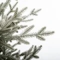 ΔΕΝΔΡΟ SNOWY NORWAY SPRUCE 150EK