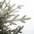 CHRISTMAS SNOWY NORWAY SPRUCE 210CM