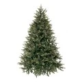 CHRISTMAS TREE FRASER FIR 210CM