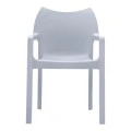 ΝΤΙΒΑ SILVER GREY ΠΟΛΥΘΡΟΝΑ ΠΟΛ/ΝΙΟΥ - 20.0086