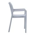 ΝΤΙΒΑ SILVER GREY ΠΟΛΥΘΡΟΝΑ ΠΟΛ/ΝΙΟΥ - 20.0086