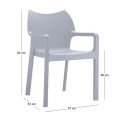 ΝΤΙΒΑ SILVER GREY ΠΟΛΥΘΡΟΝΑ ΠΟΛ/ΝΙΟΥ - 20.0086