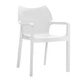 ΝΤΙΒΑ WHITE ΠΟΛΥΘΡΟΝΑ ΠΟΛ/ΝΙΟΥ - 20.0080
