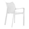 ΝΤΙΒΑ WHITE ΠΟΛΥΘΡΟΝΑ ΠΟΛ/ΝΙΟΥ - 20.0080