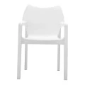 ΝΤΙΒΑ WHITE ΠΟΛΥΘΡΟΝΑ ΠΟΛ/ΝΙΟΥ - 20.0080