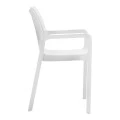 ΝΤΙΒΑ WHITE ΠΟΛΥΘΡΟΝΑ ΠΟΛ/ΝΙΟΥ - 20.0080
