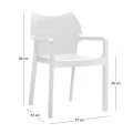 ΝΤΙΒΑ WHITE ΠΟΛΥΘΡΟΝΑ ΠΟΛ/ΝΙΟΥ - 20.0080
