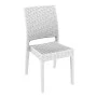ΦΛΟΡΙΝΤΑ WHITE ΚΑΡΕΚΛΑ ΠΟΛ/ΝΙΟΥ - 53.0057