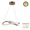 Luciano Megapap metallic Led ceiling light in gold color 47x40x60cm.