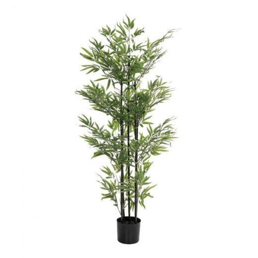 ΦΥΤΟ BAMBOO 150ΕΚ. Χ4 ΣΕ ΜΑΥΡΗ ΠΛΑΣΤΙΚΗ ΓΛΑΣΤΡΑ