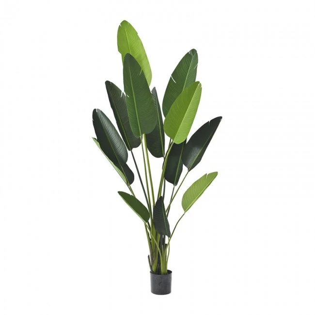 ARTIFICIAL RAVENALA PLANT WITH 13 LEAVES 235CM IN PLASTIC POT 20X18 CM