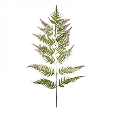 GREEN GIANT FERN STEM 163CM