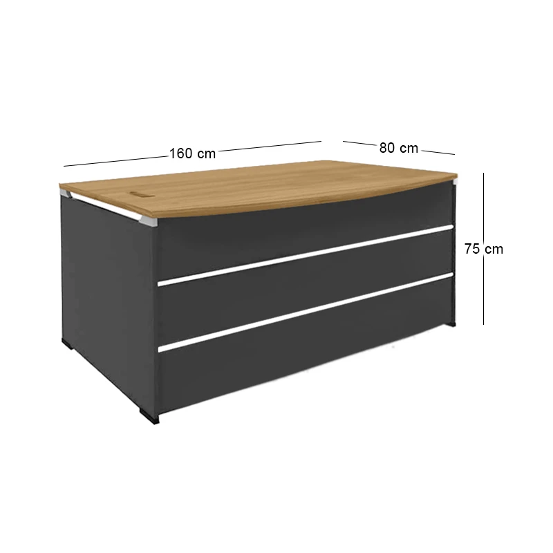 PROJECT Desk 160x80 Sonoma/Grey