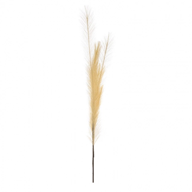 ΚΡΕΜ ΚΛΑΔΙ PAMPAS 95ΕΚ ΜΕ 6 ΚΛΑΔΙΑ