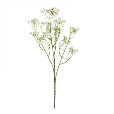 WHITE GYPSO STEM 62CM