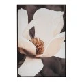 MAGNOLIA ΠΙΝΑΚΑΣ 83Χ123ΕΚ ME ΚΟΡΝΙΖΑ ΣΕ ΤΥΠΩΜΕΝΟ ΚΑΜΒΑ