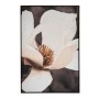 MAGNOLIA ΠΙΝΑΚΑΣ 83Χ123ΕΚ ME ΚΟΡΝΙΖΑ ΣΕ ΤΥΠΩΜΕΝΟ ΚΑΜΒΑ