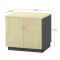 Low CABINET 80x45x75cm DG/Beech with Doors