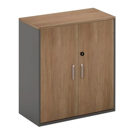 PROLINE Low Cabinet Wild Oak/Black