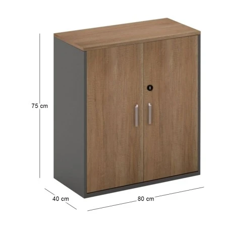 PROLINE Low Cabinet Wild Oak/Black