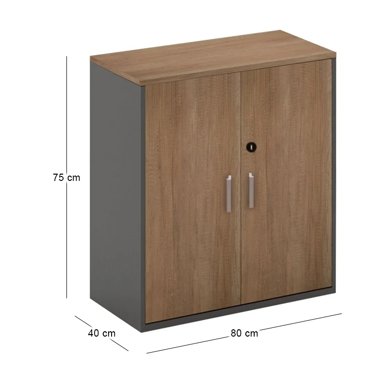 PROLINE Low Cabinet Wild Oak/Black