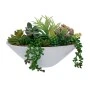 ARTIFICIAL SUCCULENT PLANT IN CERAMIC POT 20,5CM