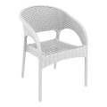 ΠΑΝΑΜΑ WHITE ΠΟΛΥΘΡΟΝΑ ΠΟΛ/ΝΙΟΥ - 53.0009
