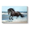 "Black Horse" Megapap painting on canvas digital printing 100x70x3cm.