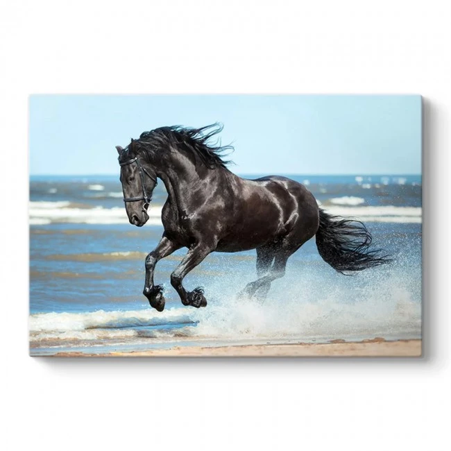 "Black Horse" Megapap painting on canvas digital printing 100x70x3cm.